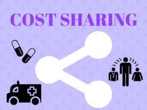 cost sharing コストシェアリング